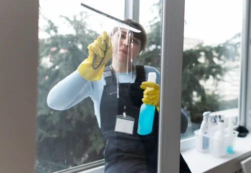 Nettoyage de vitres intérieures et extérieures à Chaveyriat